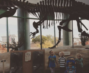 After visiting Winston Salem, we spent a few days in the Raleigh area visiting friends and museums, aka homeschool field trips! In the photo above, the kids are in front of the largest collection of T-rex bones (54% of the display is real bones) at a science museum in Raleigh.